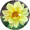 Peter O'Brien profile picture