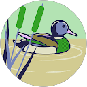 Michelle Hindmoor profile picture